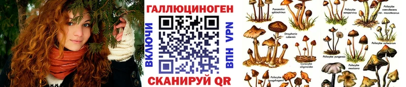 Галлюциногенные грибы Psilocybine cubensis  Ясный 
